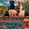 Puzzle A family of Dogs at the Lake