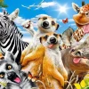 Puzzle African Selfie 500