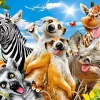 Puzzle African Selfie 200 pieces