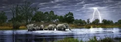 Puzzle Alexander Von Humboldt:  Herd of Elephants (Botswana)