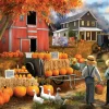 Puzzle Amish Pumpkin Patch 300XXL