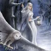 Puzzle Anne Stokes - Midnight Messenger