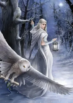 Puzzle Anne Stokes - Midnight Messenger