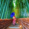 Puzzle Asian Woman in Bamboo Forest