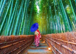 Puzzle Asian Woman in Bamboo Forest
