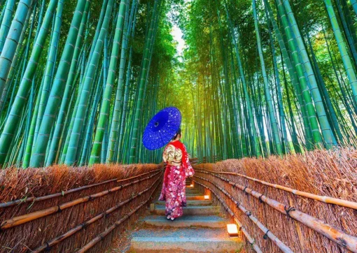Puzzle Asian Woman in Bamboo Forest