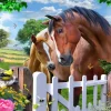 Puzzle At The Garden Gate 3D