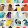 Puzzle Avian Friends