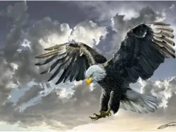 Puzzle Bald Eagle