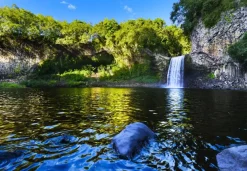 Puzzle Bassin de la Paix, La Réunion, France
