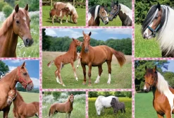 Puzzle Beautiful horses 150