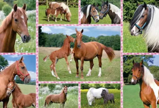 Puzzle Beautiful horses 150