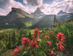 Puzzle Beautiful landscape