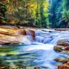 Puzzle Beautiful Waterfall in the Forest 2000