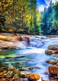 Puzzle Beautiful Waterfall in the Forest 2000