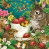 Puzzle Berry Sweet