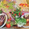 Puzzle Bicycle with Flowers