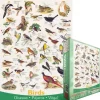 Puzzle Birds of fields and gardens