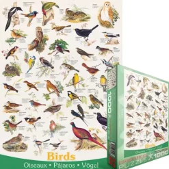 Puzzle Birds of fields and gardens