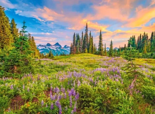 Puzzle Blossom of Morning