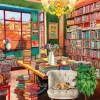 Puzzle Borelli: The old library