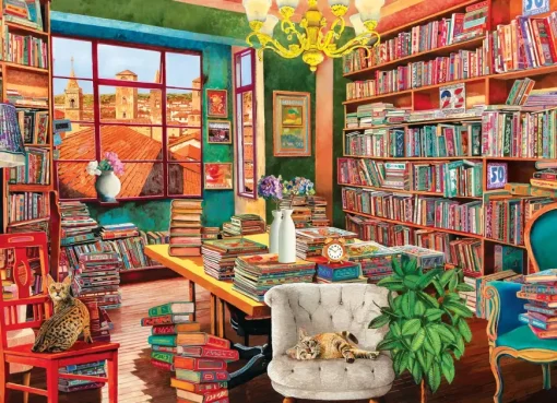 Puzzle Borelli: The old library