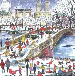 Puzzle Bow Bridge in Central Park