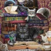 Puzzle Brigid Ashwood : Storytime Cats 1000