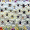 Puzzle Brilliant Bees