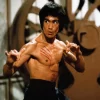 Puzzle Bruce Lee