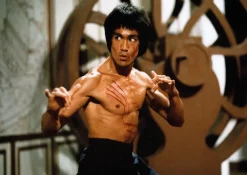 Puzzle Bruce Lee