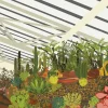 Puzzle Brutalist Conservatory 500