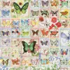 Puzzle Butterflies and Blossoms