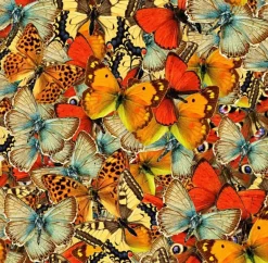 Puzzle Butterflies Butterflies Butterflies!