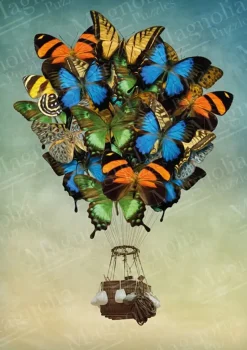 Puzzle Butterfly Balloon