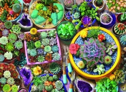 Puzzle Cacti pots