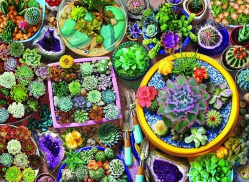 Puzzle Cacti pots