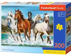 Puzzle Call of Nature II
