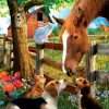 Puzzle Can We Be Friends