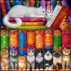 Puzzle Cat Bookshelf