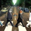 Puzzle Cat Road