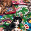 Puzzle Cats 3000