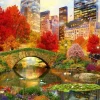 Puzzle Central Park NYC