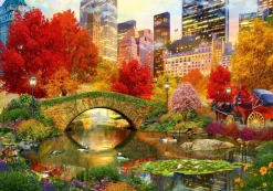 Puzzle Central Park NYC