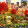 Puzzle Central Park NYC II
