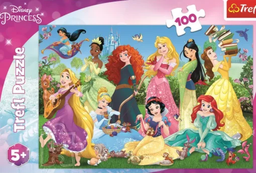 Puzzle Charming Princesses
