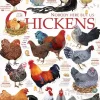 Puzzle Chicken Quotes 1000