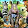 Puzzle Class Photo
