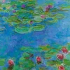 Puzzle Claude Monet - Water Lilies, 1917
