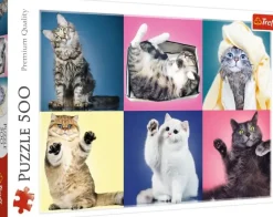 Puzzle Collage of cats